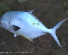 爱游戏官网-瑆t业X皥鲹b?ハ娲順鵤